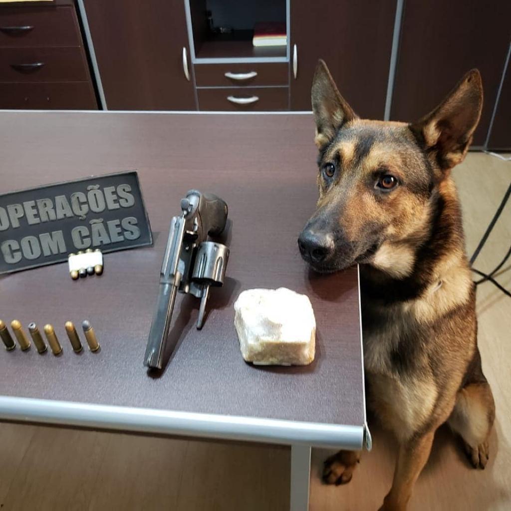 Cachorro policial ao lado de uma arma e drogas