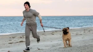 Eu Sou o Rocky: Cinebiografia de Sylvester Stallone ganha trailer oficial